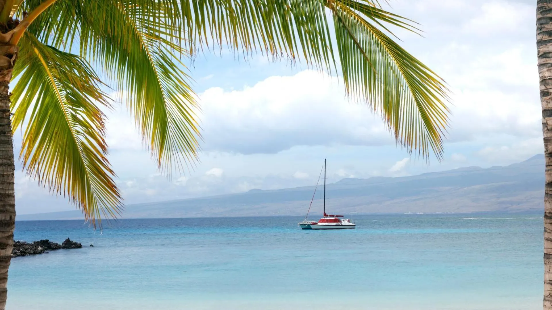 Ferienhaus ❤Pih❤ Aloha Joes Ohana Close To Beaches And Restaurants Waikoloa